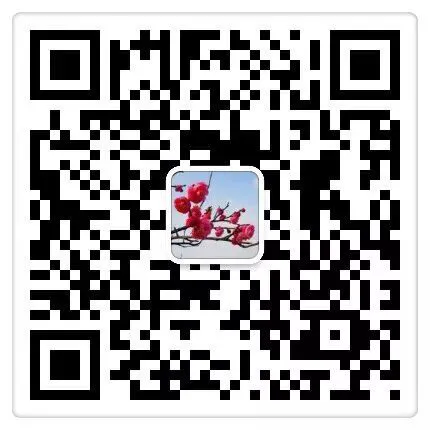 亚军球队的训练方案如何帮助你快速提升篮球技能_0